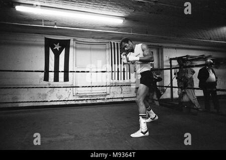 Ken Norton allenamento in vista della sua terza lotta con Muhammad Ali. 23 Settembre 1976 Foto Stock