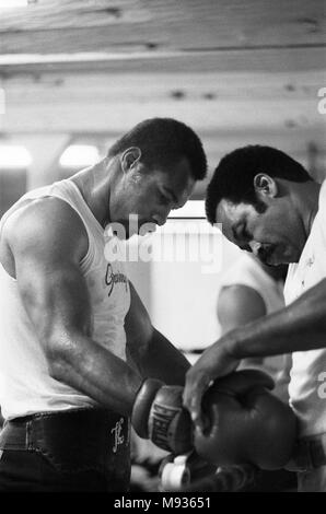 Ken Norton (sinistra) allenamento in vista della sua terza lotta con Muhammad Ali. 23 Settembre 1976 Foto Stock