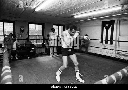 Ken Norton allenamento in vista della sua terza lotta con Muhammad Ali. 23 Settembre 1976 Foto Stock