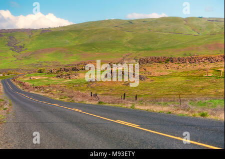 Lungo la US Highway 197 nello stato di Washington in alto il paesaggio del deserto del Columbia River Gorge. Foto Stock