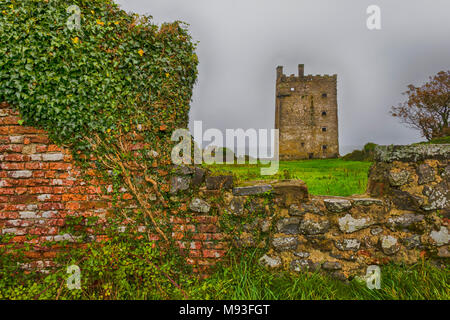 Il castello di Carrigaholt sulla penisola Loophead nella contea di Clare, Irlanda Foto Stock