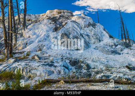 Mammoth Hot Springs nel Parco Nazionale di Yellowstone in Wyoming. Foto Stock