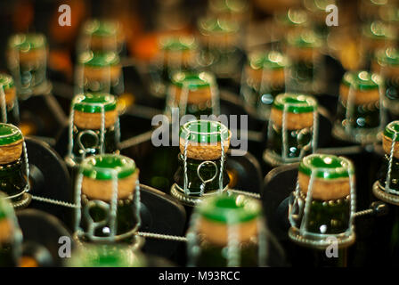 Tappare le bottiglie di vino spumante, la birra o il sidro closeup con sfondo sfocato Foto Stock