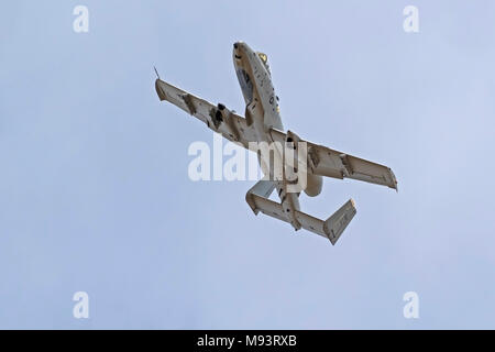 Aeroplano A-10 Wharthog jet aerei di attacco Foto Stock