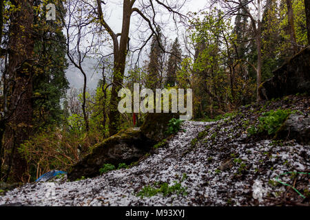 Paesaggi himalayana da grande Himalayan National Park (GHNP) vicino a Manali, Himachal Pradesh, India. Foto Stock
