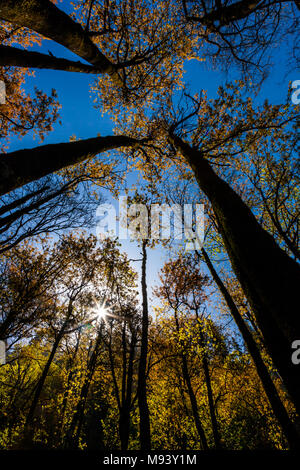 Paesaggi himalayana da grande Himalayan National Park (GHNP) vicino a Manali, Himachal Pradesh, India. Foto Stock