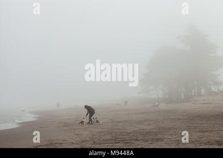 La donna è stata dando il suo cane un trattamento mentre si cammina lungo la Crissy Field spiaggia su una mattinata nebbiosa a San Francisco, California, Stati Uniti. Foto Stock