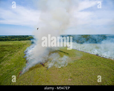 63863-02719 Estate prairie masterizzare Prairie Ridge Stato Area Naturale - antenna Marion Co. IL Foto Stock