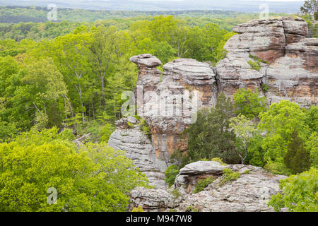 63895-14814 Camel Rock, Giardino degli dèi Recreation Area Shawnee National Forest Soluzione Salina Co. IL Foto Stock