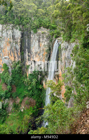 Purling Brook cade in Springbrook National Park, Queensland, Australia. Foto Stock