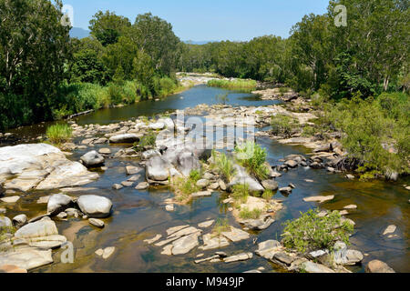 Bovini Creek vicino Finch Hatton Gorge nel Queensland, Australia. Foto Stock