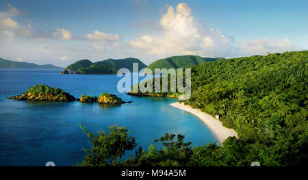 Bellissima Trunk Bay sull'isola di San Giovanni in US Virgin Islands National Park. Foto Stock