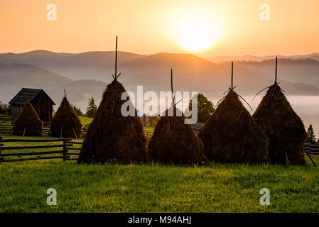 Il paesaggio è incantevole della Bucovina regione in Romania con sunrise delle colline piene di velatura Foto Stock