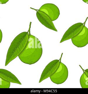 Frutti di lime. Disegnato a mano disegno colorato come modello senza giunture Illustrazione Vettoriale