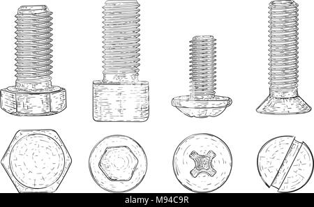 Le viti in metallo e le viti. Mano bozzetto Illustrazione Vettoriale