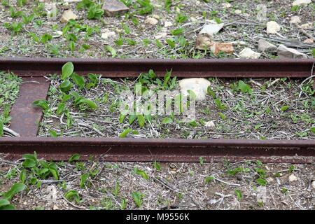 Erbacce e piante cresciute fino attraverso arrugginita linee ferroviarie presso le rovine Romane di Volubilis, Marocco Foto Stock