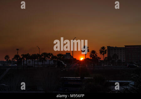 Orlando di notte Foto Stock