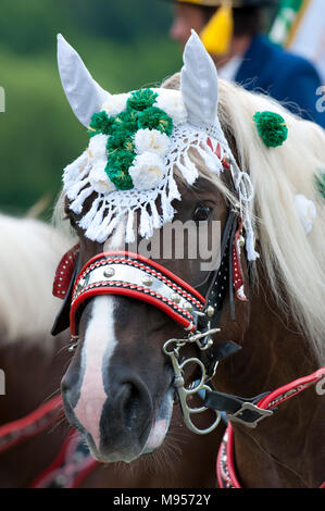 Splendidamente decorate cavalli su un pellegrinaggio cattolico in Baviera, Germania Foto Stock