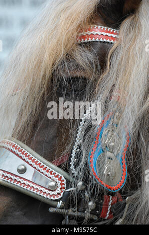 Splendidamente decorate cavalli su un pellegrinaggio cattolico in Baviera, Germania Foto Stock