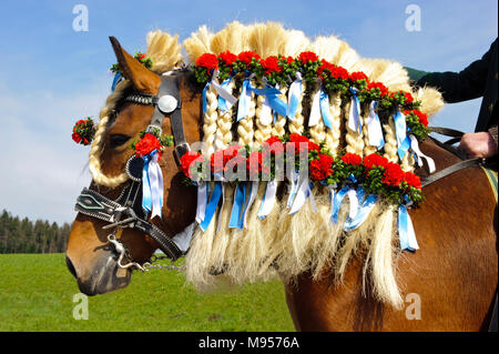 Splendidamente decorate cavalli su un pellegrinaggio cattolico in Baviera, Germania Foto Stock