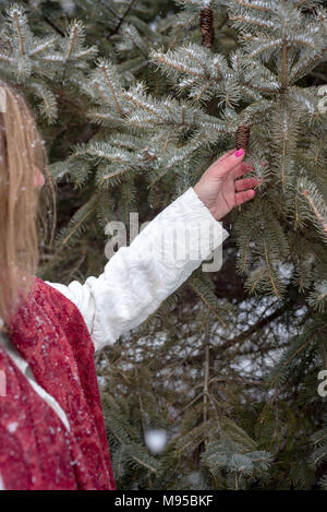 Donna raggiungere e toccare un piccolo cono di pino su albero esterno in inverno con la caduta della neve Foto Stock