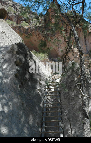 Una scala conduce gli escursionisti e i turisti fino il sentiero alcova per la ricostruita kiva presso Alcova Casa di Bandelier National Monument. Foto Stock