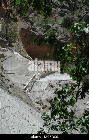 Un set di rustico scale portano gli escursionisti e i turisti fino ad Alcova Casa di Bandelier National Monument. Foto Stock