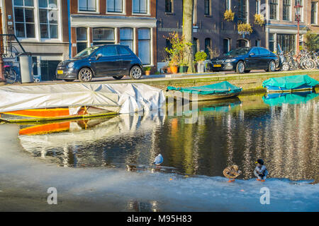 AMSTERDAM, PAESI BASSI, Marzo 10 2018: veduta esterna di alcune auto parcheggiata vicino ad un barche nei canali di Amsterdam, con le anatre sul ghiaccio, Amsterdam è la città più popolosa dei Paesi Bassi Foto Stock