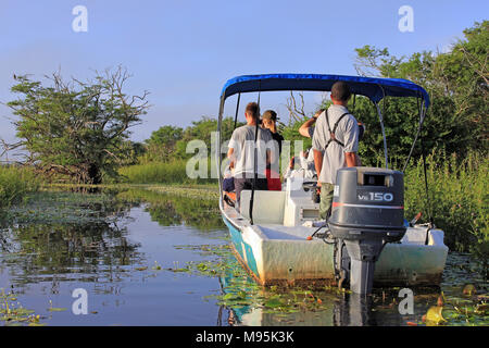 I turisti godendo di un inizio di mattina Birdwatching Trip (spotting un Osprey) sulla laguna a Crooked Tree Wildlife Sanctuary, Belize Foto Stock