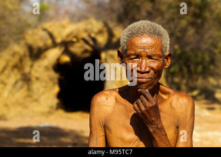 Il vecchio Ju/'Hoansi o Boscimani San davanti a una capanna d'erba al loro villaggio, Grashoek, Namibia Foto Stock