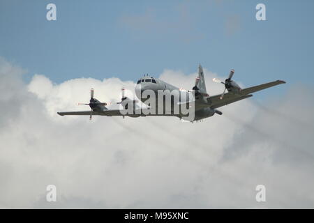 Foto del C-130 Hercules in volo all'Airshow di Hamilton Foto Stock