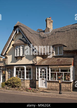 Vecchio Shanklin, matita di paglia Cottage, Sala da tè e un negozio di articoli da regalo, Isle of Wight, Hampshire, Inghilterra, Foto Stock