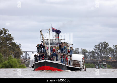 Battello a Vapore industria a monte per la cottura a vapore sul Fiume Murray a Curlwaa. PS Industria è normalmente basato fuori Renmark South Australia. Foto Stock