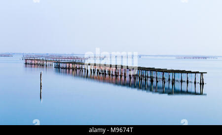 La molluschicoltura dal fiume Po laguna, Italia. Spiaggia di Scardovari. Italiano paesaggio rurale Foto Stock