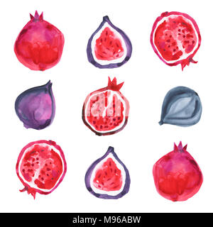 Acquerelli di frutta esotica. Disegnata a mano illustrazione Foto Stock