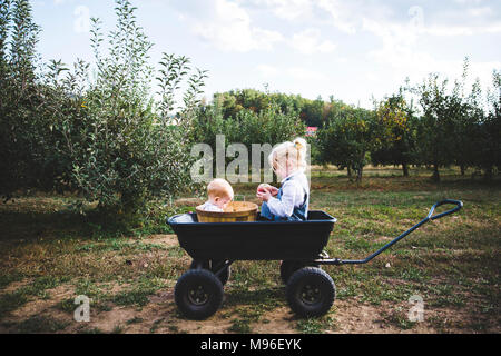 Ragazza e baby sitting in carro Orchard Foto Stock