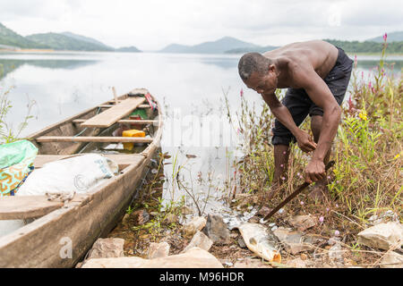 Kojo tenere la sua cattura sulla banca di Akosombo Dam, del Ghana meridionale. In Ghana, i bambini sono spesso dato un 'day' nome che corrisponde al giorno della settimana sono nati. Inoltre questi i nomi dei giorni hanno anche significati riguardanti l anima e il carattere di una persona. Per esempio, Kojo significa lunedì Nato e pace nel locale di lingua Akan. Foto Stock