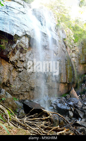 Blackfellow cade in Springbrook National Park, Queensland, Australia. Foto Stock