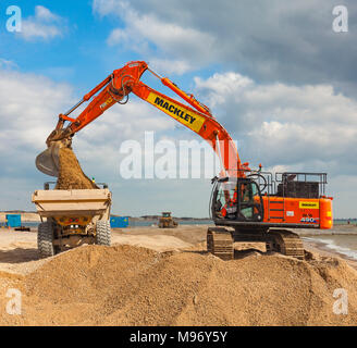 Escavatore caricamento di un dumper su una spiaggia. Foto Stock