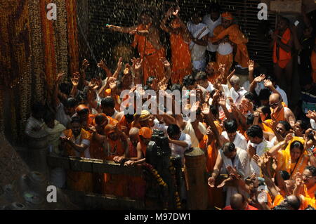 Mahamastakabhisheka festival - l'unzione del Bahubali Gommateshwara statua si trova a Shravanabelagola in Karnataka, India. Si tratta di un importante Foto Stock