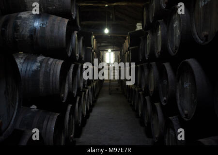 Vista prospettica della cantina. Foto Stock