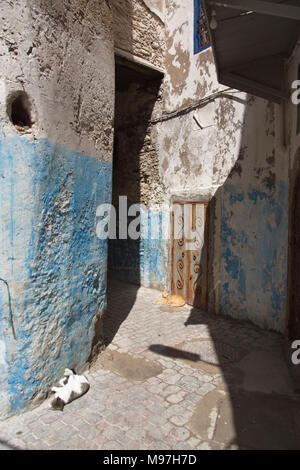 Backstreet stretto all'interno della Medina di Essaouira Foto Stock