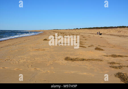 Una ampia apertura ininterrotta e spiaggia di primo sbarco del parco statale in Virginia Beach, Virginia. Foto Stock