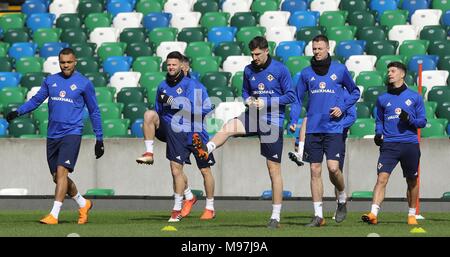 Irlanda del Nord i giocatori si riscaldano durante la sessione di formazione al Windsor Park di Belfast. Foto Stock