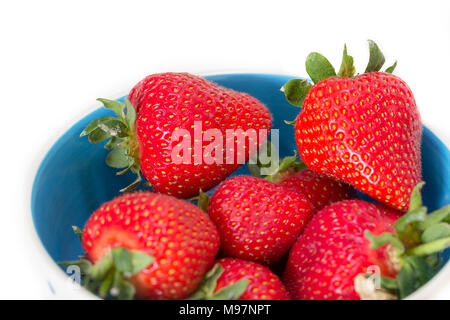 Una ciotola di succosa, fragole mature (Fragaria × ananassa) Foto Stock