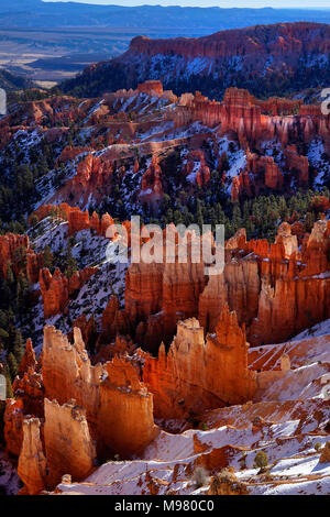 Parco Nazionale di Bryce Canyon,Utah,l'America,USA Foto Stock