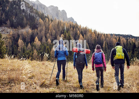 Gruppo di amici escursioni in montagna Foto Stock