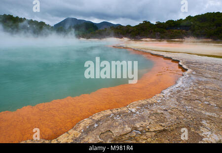 Nuova Zelanda, Isola del nord, Wai-O-Tapu, Pool di Champagne Foto Stock