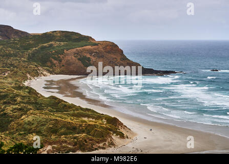 Nuova Zelanda, Isola del Sud, Dunedin, Penisola di Otago, Sandfly Bay Foto Stock