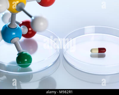 Il modello molecolare accanto a una capsula in capsule di petri Foto Stock